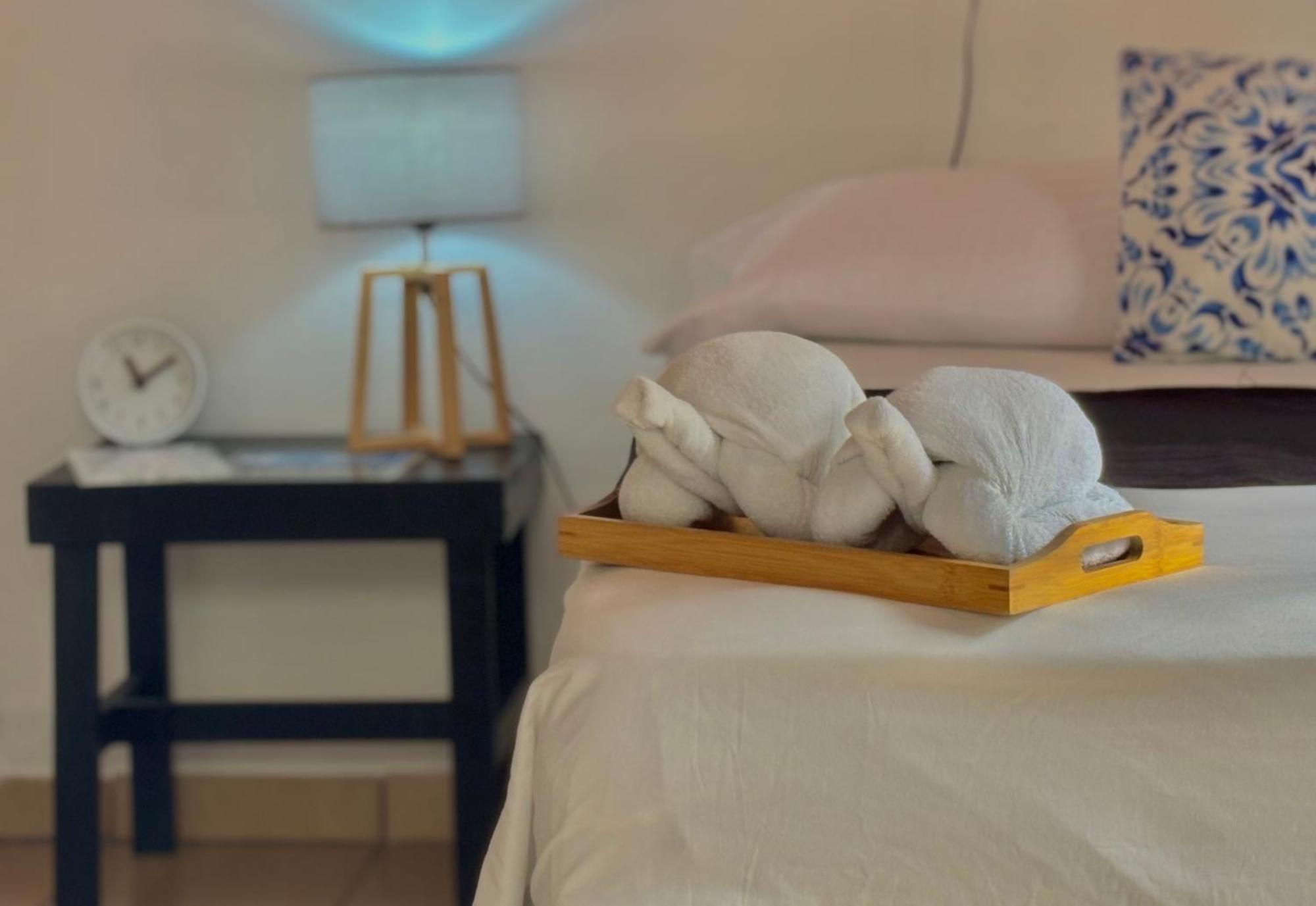 Carey Lodging Тортугеро Екстериор снимка